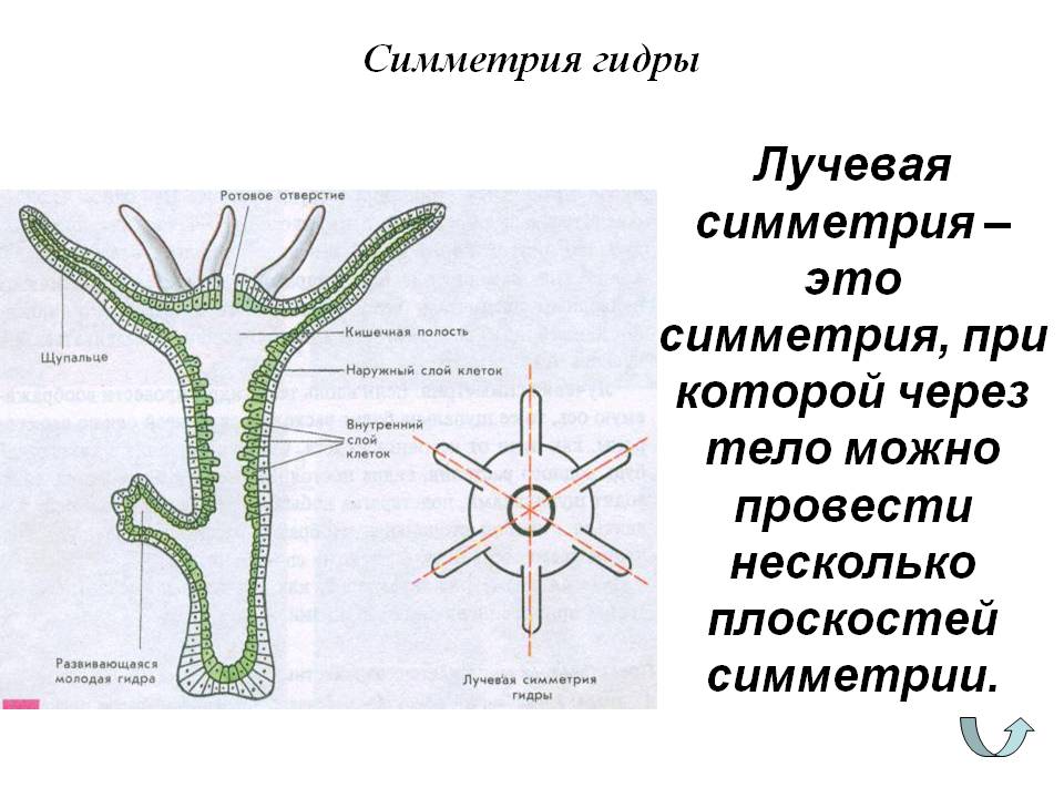 Как восстановить доступ к кракену