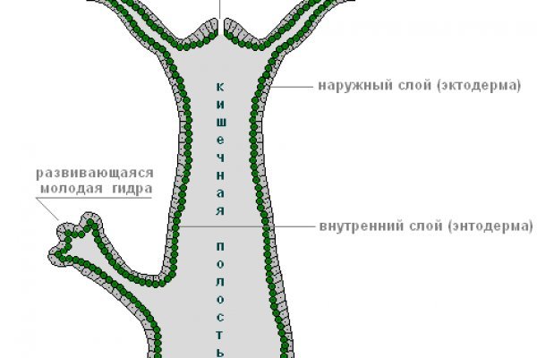 Кракен как попасть