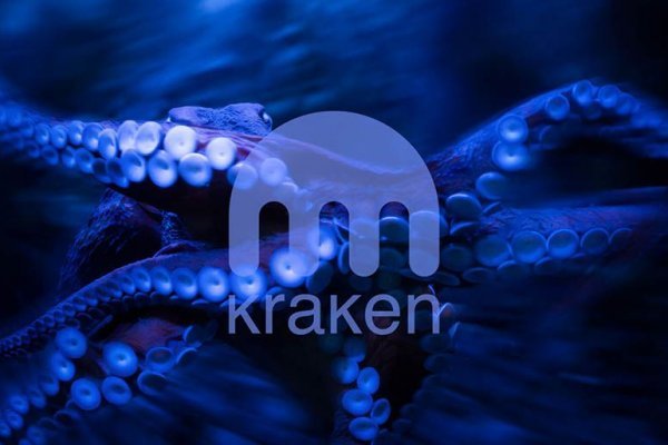 Kraken onion darknet zerkalo