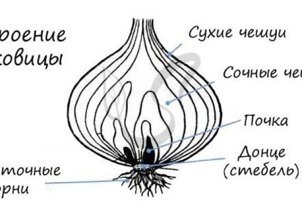 Кракен вход официальный сайт